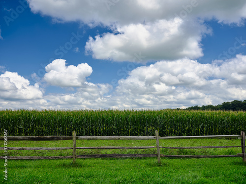 Pennsylvania Dutch country farm and cornfield surrounded by a wooden fence