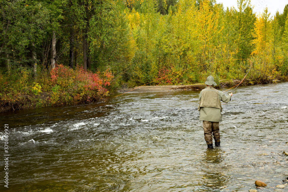 Fly fishing for salmon on a small stream near Talkeetna, Alaska.