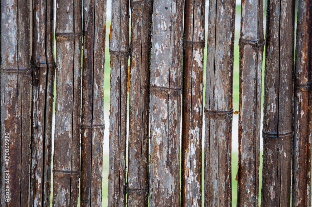 Fototapeta premium old bamboo fence