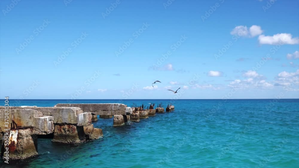 Pelicans take off from an abandoned concrete pier that goes to the turquoise sea against a blue clear sky. The beautiful nature of the Caribbean Pelicans take off from an abandoned concrete pier that goes to the turquoise sea against a blue clear sky. The beautiful nature of the Caribbean
