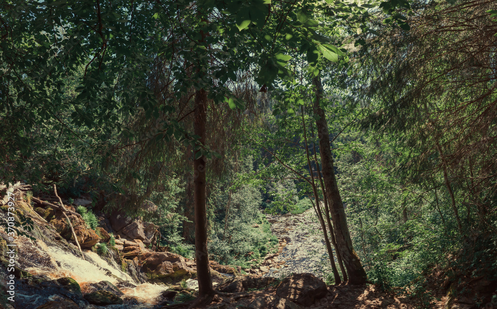 Mountain river in dense forest. rocky watercourse. woodland creek. water flow with splashes Mountain river in dense forest. rocky watercourse. woodland creek. water flow with splashes