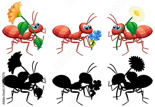 Ant holding flower set