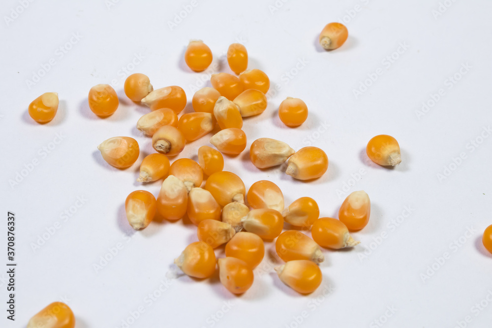 Extreme close-up image of corn studio isolated on white background Extreme close-up image of corn studio isolated on white background