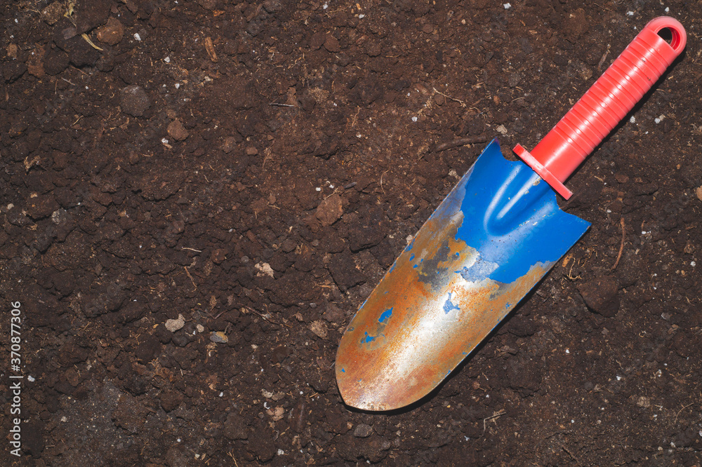 Garden shovel. old soil from flower pot. plant transplanting process Garden shovel. old soil from flower pot. plant transplanting process