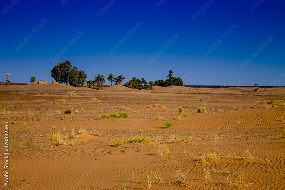 Sequía en el desierto