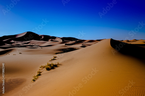 Un día en el desierto