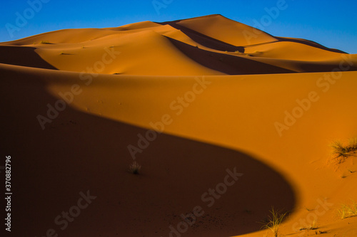 Un d  a en el Sahara