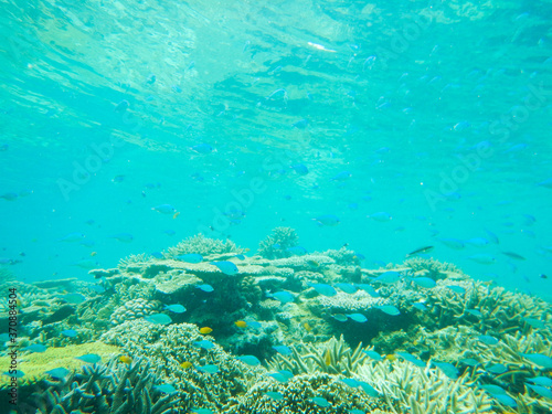 沖縄の海 