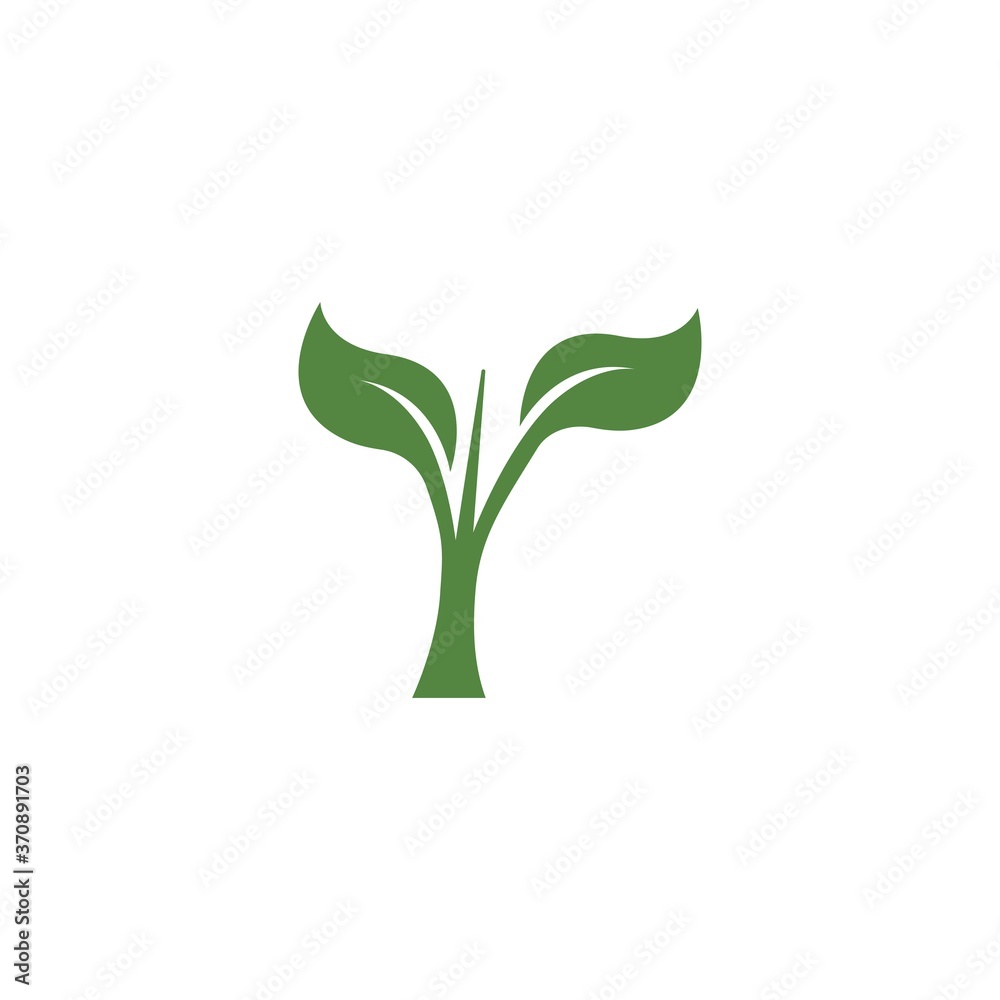 Green leaf Green leaf