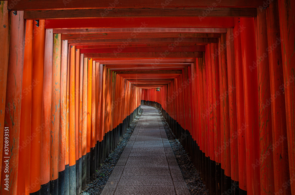 Fototapeta premium 京都の伏見稲荷大社 千本鳥居
