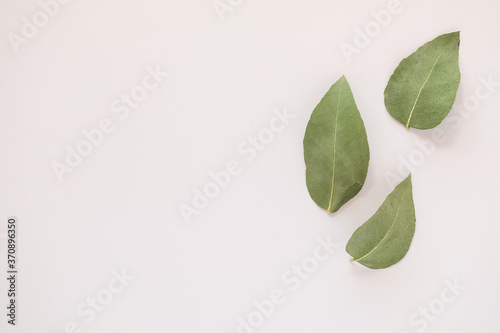 Simple flat lay image featuring three gum leaves on white background with copy space