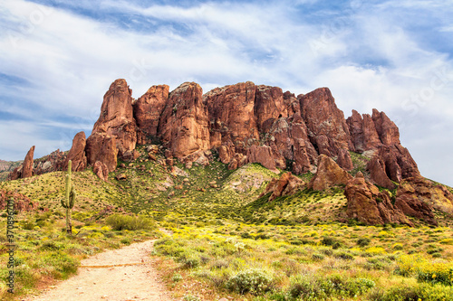 Lost Dutchman State Park and Treasure Loop Trail with Yellow Brittlebush Wildflowers