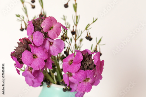 Basic white flat lay background image featuring purple wallflowers and boronia stems with copy space
