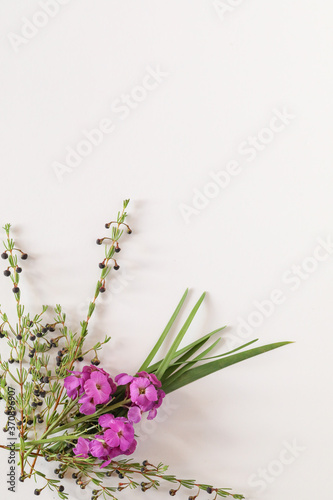 Basic white portrait flat lay background image featuring purple wallflowers and boronia stems with copy space