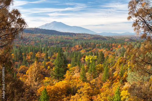 Pit Canyon Autumn -  Fall colors grace Pit Canyon, with dormant lava dome Burney Mountain in the background. Fall River Mills, California, USA