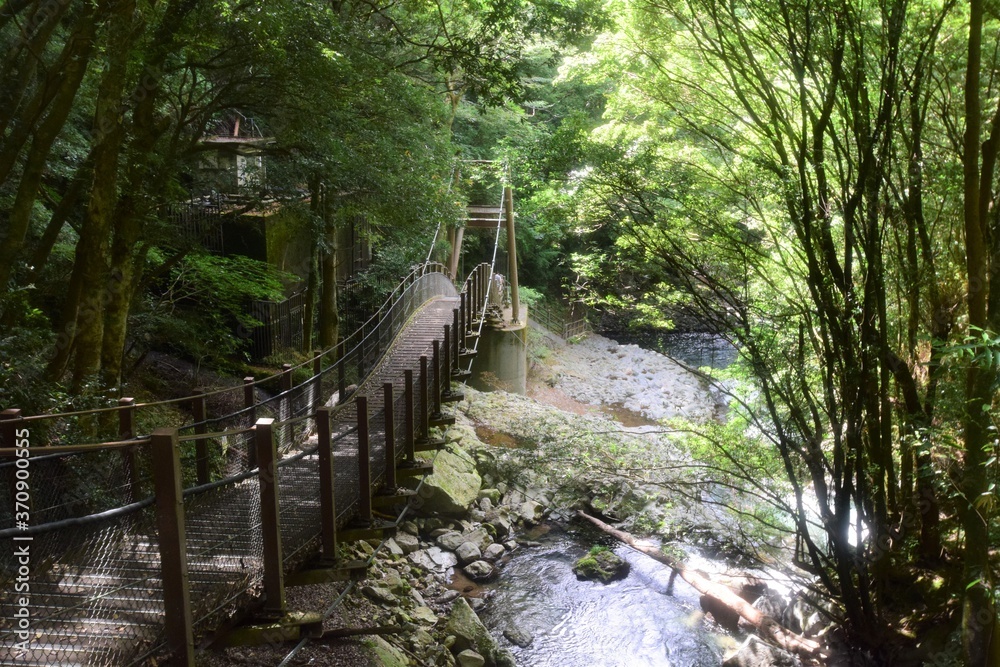 Obraz premium suspension bridge