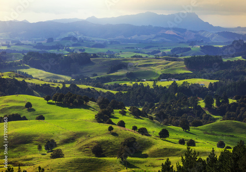 Fototapeta Naklejka Na Ścianę i Meble -  New Zealand hills