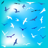 thirty gulls set on blue