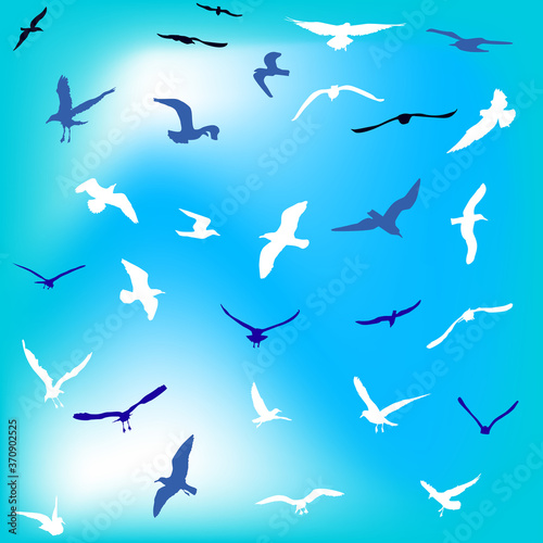 thirty gulls set on blue