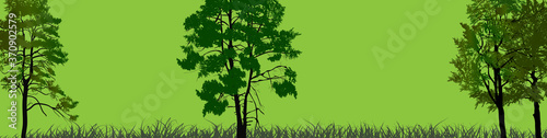 trees in grass on green and background