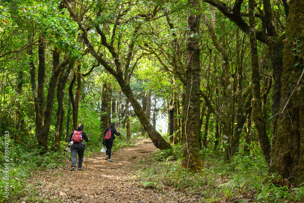Two backpackers friends spend their leisure activity trekking into the forest