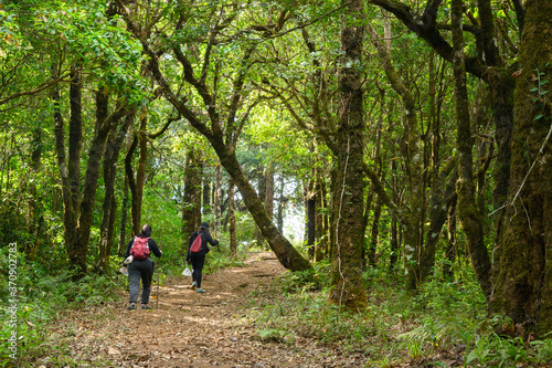 Two backpackers friends spend their leisure activity trekking into the forest © Goldsaintphoto