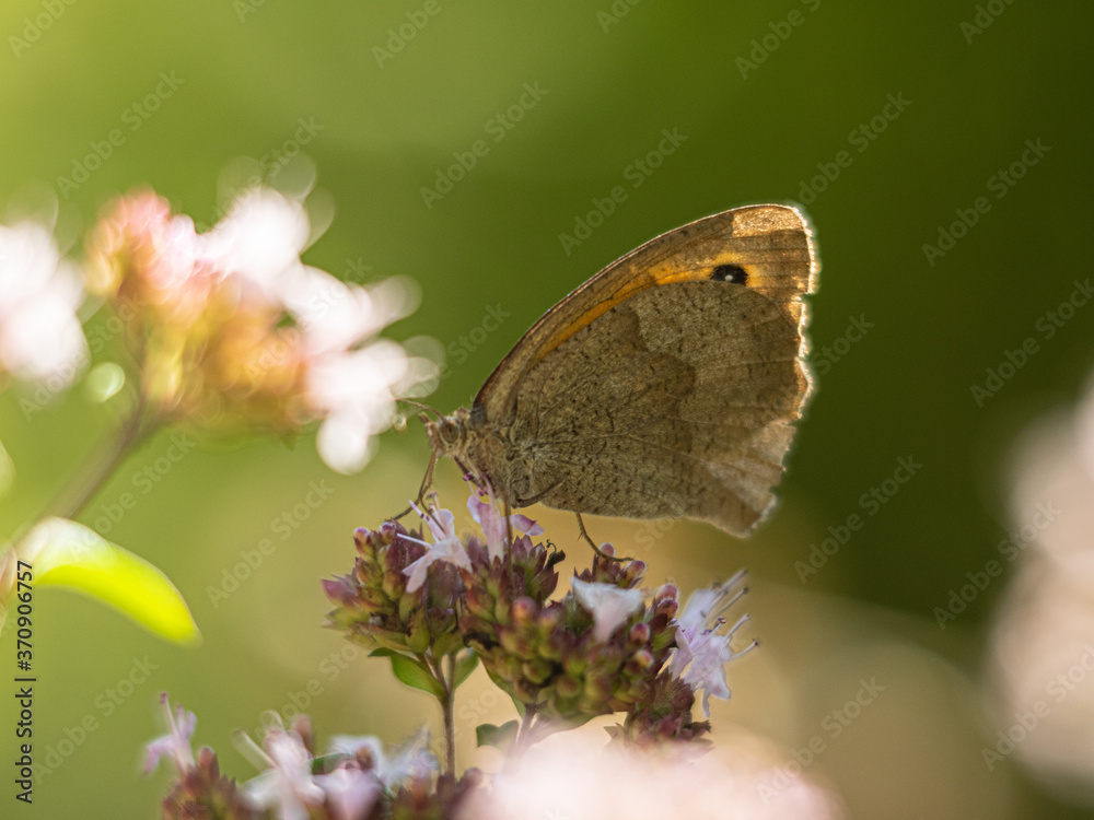 Obraz premium Celle, 25.09.2020