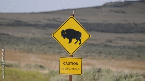 Bison Caution Sign with a Bird Sitting on Top