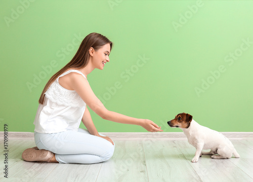Young woman with cute dog i...