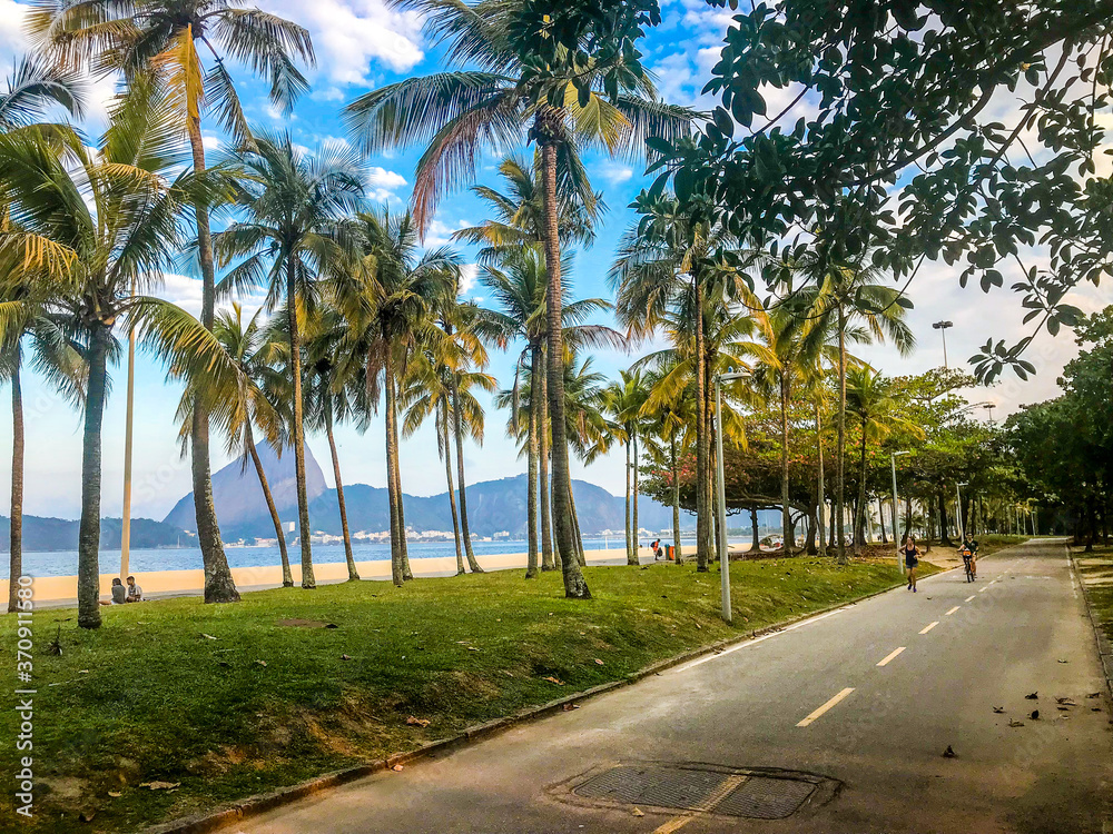 palm trees on the beach rio brazil