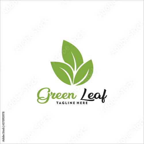 leaf logo design template silhouette vector