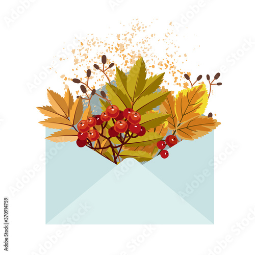 Leaves and rowan berries in an envelope. Vector illustration in flat style isolated on white background.