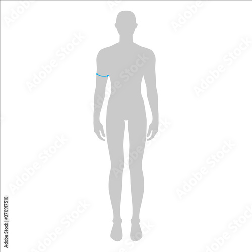 Men to do biceps measurement fashion Illustration for size chart. 7.5 head size boy for site or online shop. Human body infographic template for clothes. 