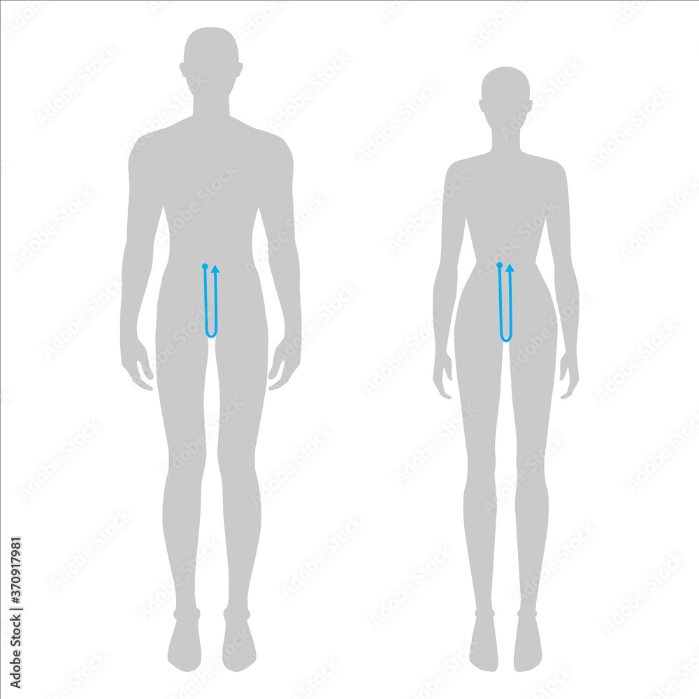 Women and men to do crotch depth measurement fashion Illustration for size chart. 7.5 head size girl and boy for site or online shop. Human body infographic template for clothes. Women and men to do crotch depth measurement fashion Illustration for size chart. 7.5 head size girl and boy for site or online shop. Human body infographic template for clothes.