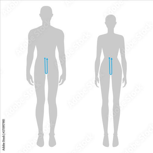 Women and men to do crotch depth measurement fashion Illustration for size chart. 7.5 head size girl and boy for site or online shop. Human body infographic template for clothes. 