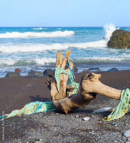 tree beach fishing nets ocean