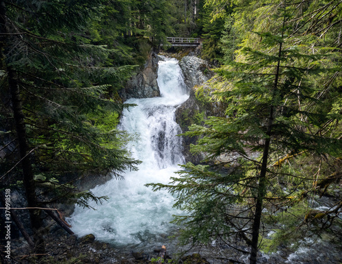 Stunning Ohanapecosh River Falls on a summer afternoon in a pristine old growth forest with a bridge at the Snoqualmie National Forest Washington State