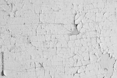 Fototapeta Naklejka Na Ścianę i Meble -  Peeling paint on the wall. Old concrete wall with cracked flaking paint. Weathered rough painted surface with patterns of cracks and peeling. Grunge texture for background and design. High resolution.