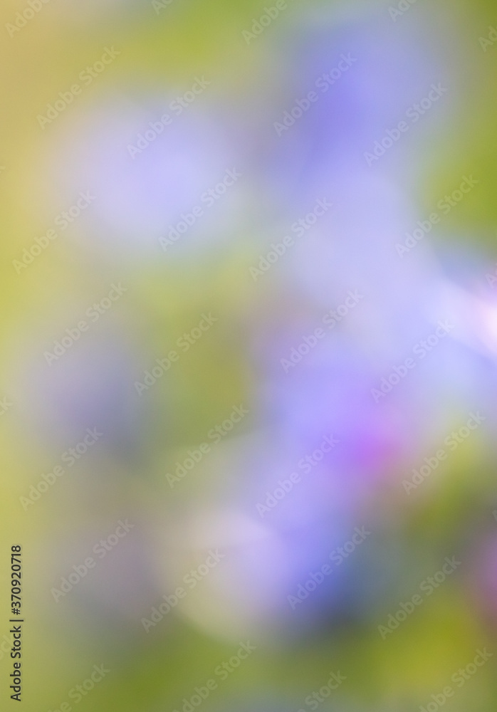Bokeh of blue flowers in nature Bokeh of blue flowers in nature