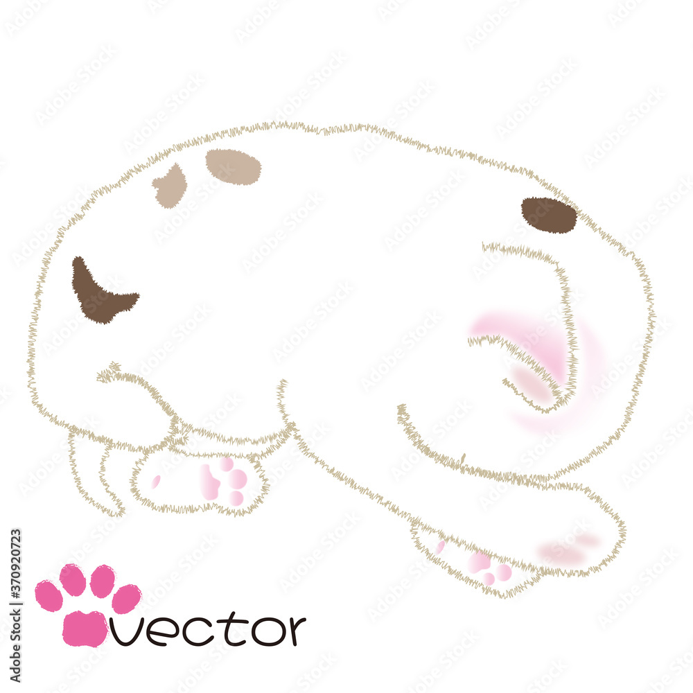 猫 子猫 寝てる姿 イラスト かわいい ベクター Stock Vector Adobe Stock