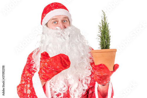 Santa Claus is holding a pot with a coniferous plant in his hand with the other hand pointing to him