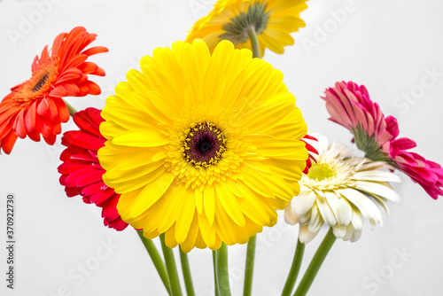 bouquet of colorful gerbera flowers