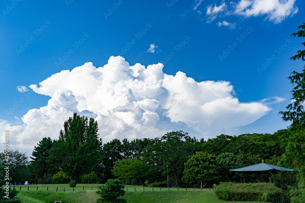 Fototapeta premium 夏のある日の空模様