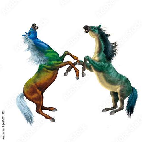 cheval  color    vert  mauve  robe sp  ciale   combat  debout  mena  ant  bleu  fantastique  beau  force   animal  isol    blanc  silhouette  illustration     talon  course  galop  sauvage  courir   mammif
