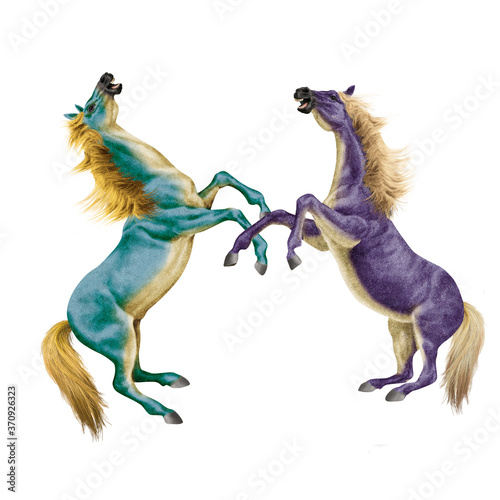 cheval  color    vert  mauve  robe sp  ciale   combat  debout  mena  ant  bleu  fantastique  beau  force   animal  isol    blanc  silhouette  illustration     talon  course  galop  sauvage  courir   mammif
