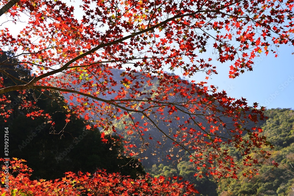 Hualien Taroko National Park,Taiwan.Photo taken on:2019/12/12. Hualien Taroko National Park,Taiwan.Photo taken on:2019/12/12.
