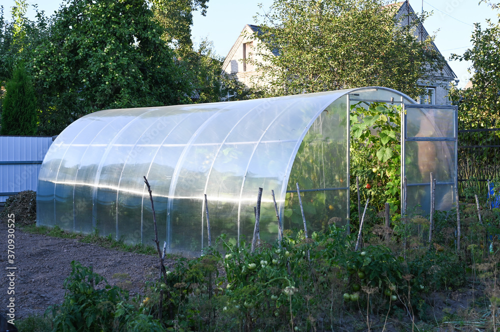 polycarbonate greenhouse on the site polycarbonate greenhouse on the site