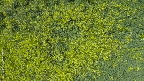 Drone shot of green hills , mountains  and  view of different tonnages of green colours . photo