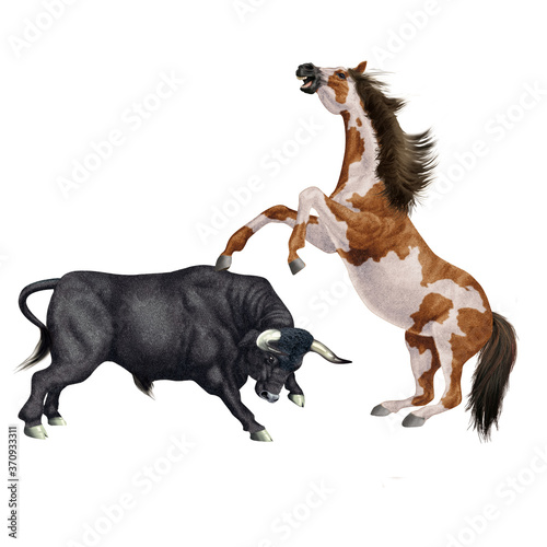  combat de cheval et le taureau  force  attaque  debout  animal  brun  mammif  re  joli  sauvage  agressive  dangereux  illustration  de race  ferme  fond blanc  color    fantastique  muscl    fort