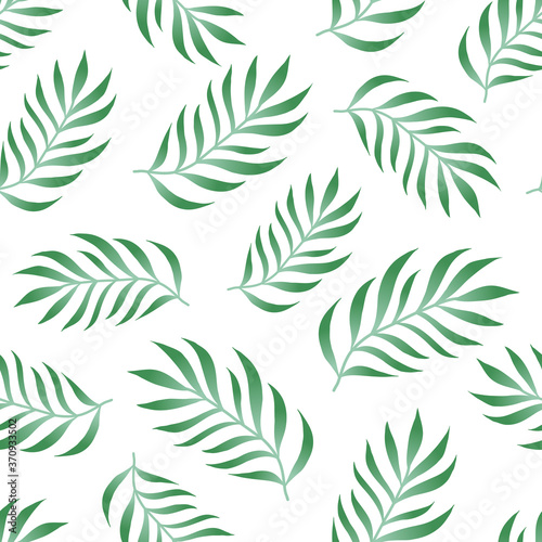 Tropical seamless pattern with fern  palm leaves  green color branches on white background. Floral vector summer jungle background